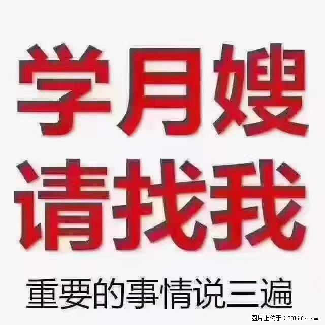 为什么要学习月嫂，育婴师？ - 其他广告 - 广告专区 - 邢台分类信息 - 邢台28生活网 xt.28life.com