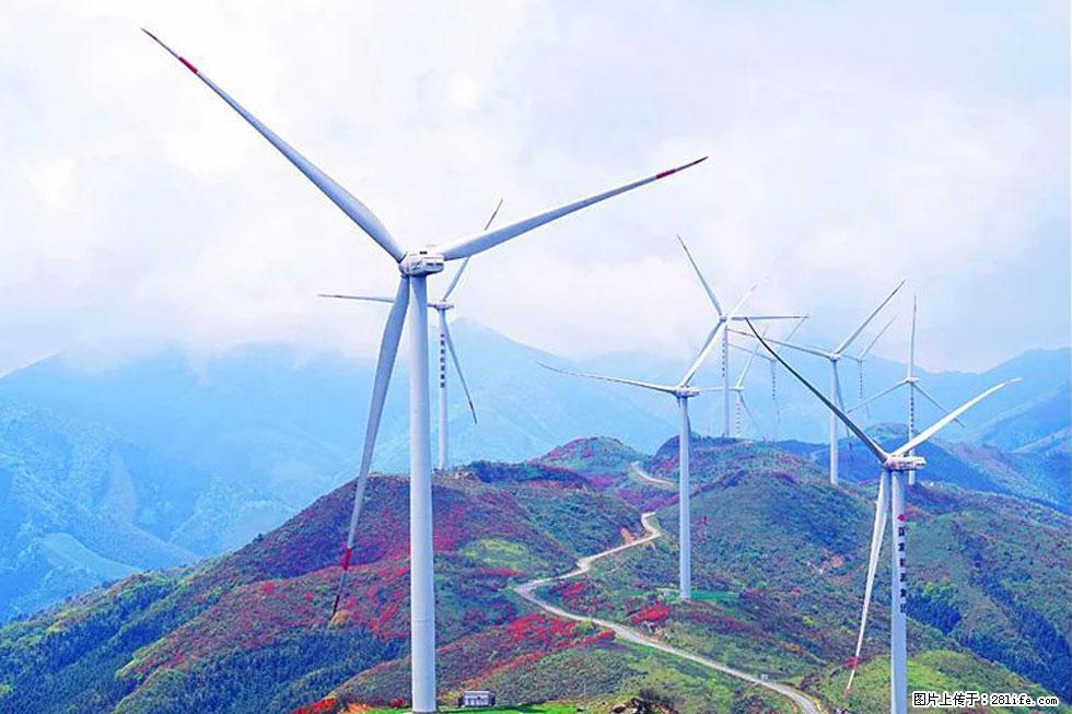 【春天,广西桂林灌阳县向您发出邀请!】春木界上映山红 - 游山玩水 - 邢台生活社区 - 邢台28生活网 xt.28life.com