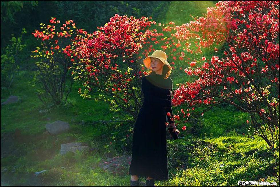 【春天,广西桂林灌阳县向您发出邀请!】春木界上映山红 - 游山玩水 - 邢台生活社区 - 邢台28生活网 xt.28life.com