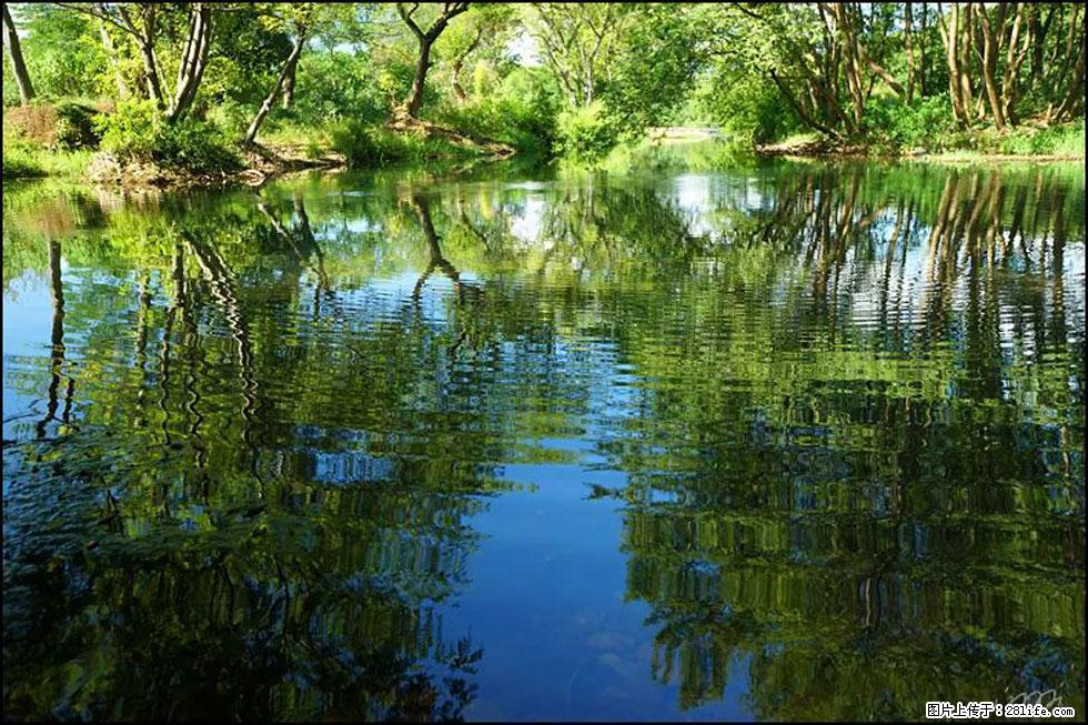 【春天,广西桂林灌阳县向您发出邀请!】熊家寨湿地公园 - 游山玩水 - 邢台生活社区 - 邢台28生活网 xt.28life.com