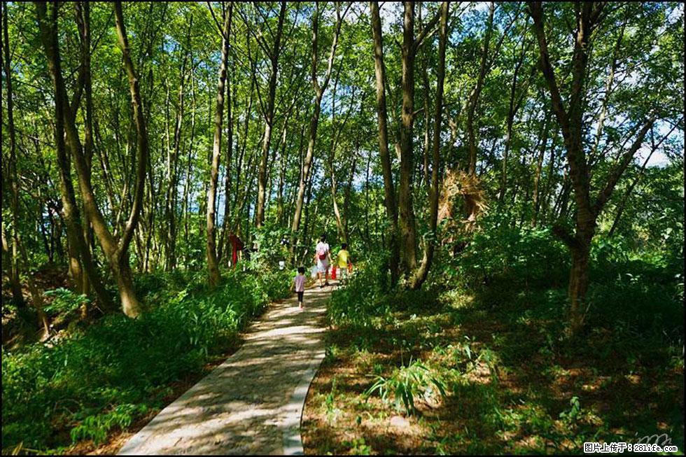 【春天,广西桂林灌阳县向您发出邀请!】熊家寨湿地公园 - 游山玩水 - 邢台生活社区 - 邢台28生活网 xt.28life.com