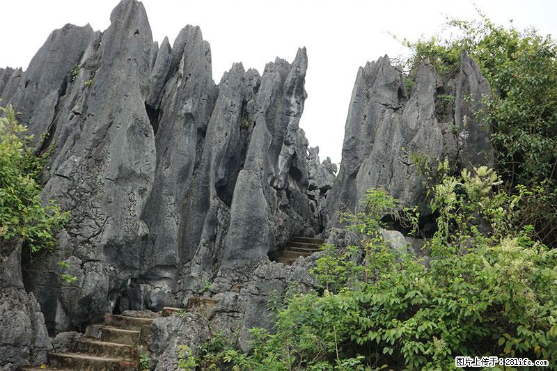 桂林旅游名城景点：灌阳文市石林 - 游山玩水 - 邢台生活社区 - 邢台28生活网 xt.28life.com