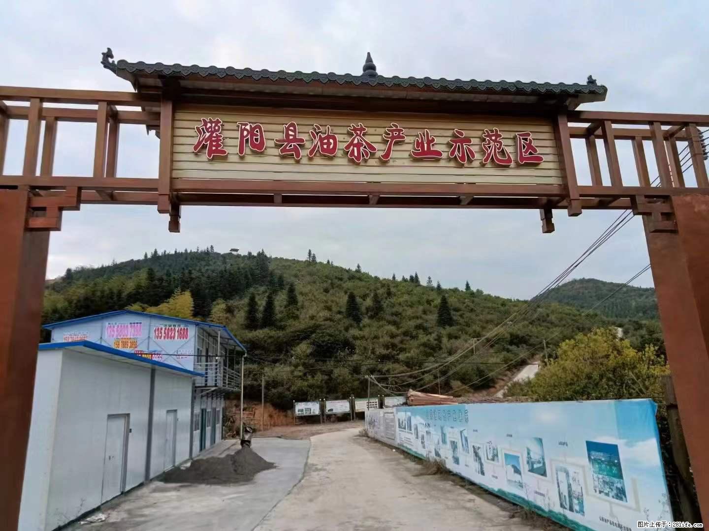 【灌阳县油茶产业示范区】一个有着充实的精神生活的人,对待身外之物自会有一种淡泊的态度 - 美食天地 - 邢台生活社区 - 邢台28生活网 xt.28life.com