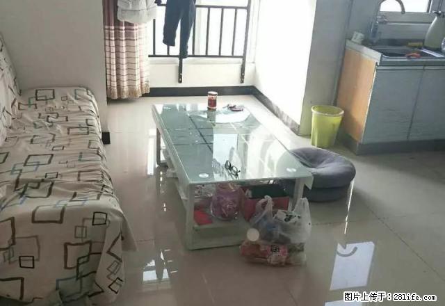 襄湾一号 一室一厅 精装 - 房屋出租 - 房屋租售 - 邢台分类信息 - 邢台28生活网 xt.28life.com