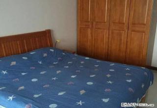 金宫花园一层出租 全套家具家电 - 邢台28生活网 xt.28life.com