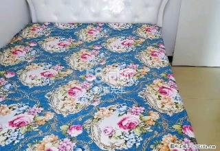 盛世文苑 1室1厅1卫 - 邢台28生活网 xt.28life.com