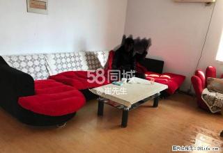 滨河上品家园 2室2厅1卫 - 邢台28生活网 xt.28life.com