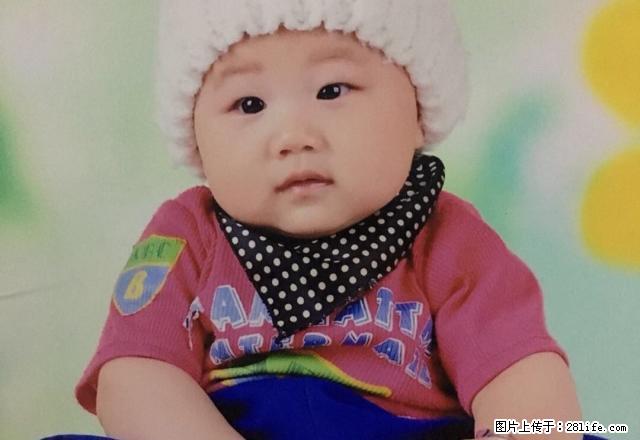 五一桥丽水苑精装一居室50平米家具家电1000元拎包住 - 房屋出租 - 房屋租售 - 邢台分类信息 - 邢台28生活网 xt.28life.com