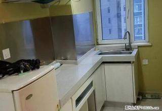 中北世纪城 新世纪广场 世贸天阶 中兴西大街正规一居室出租 - 邢台28生活网 xt.28life.com