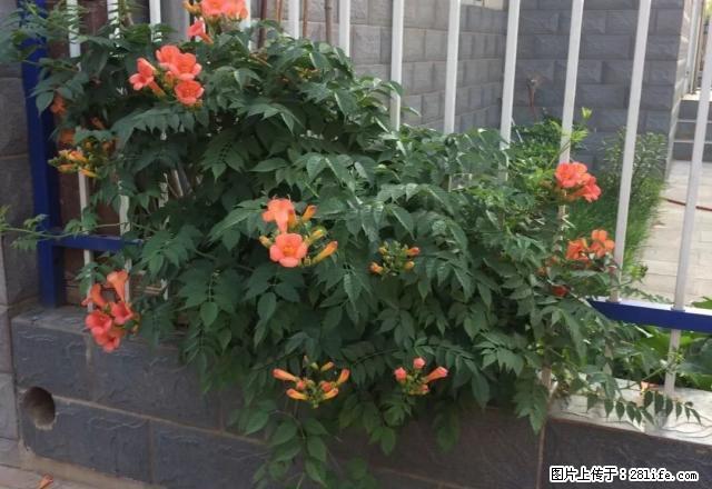 冶金东区 两室一厅一卫 简单装修 有暖气 - 房屋出租 - 房屋租售 - 邢台分类信息 - 邢台28生活网 xt.28life.com