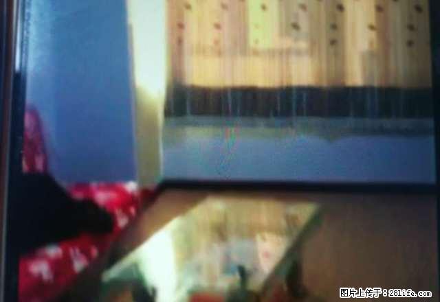 精装一居室 带全套家具 直接入住 - 房屋出租 - 房屋租售 - 邢台分类信息 - 邢台28生活网 xt.28life.com