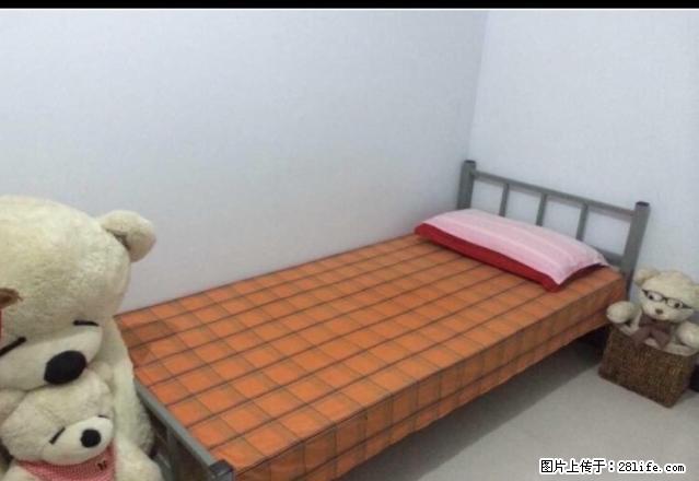 (单间出租)我不是中介 房间如图 免费无线网 - 房屋出租 - 房屋租售 - 邢台分类信息 - 邢台28生活网 xt.28life.com