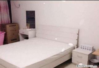 中北世纪城精装公寓，配套齐全，拎包入住。 - 邢台28生活网 xt.28life.com