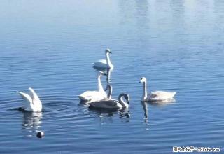 三奕润城，电梯精装2室2厅82平，收次出租，全新家具家电 - 邢台28生活网 xt.28life.com