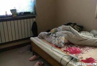 急租 泉南东大街永康城市花园 精装两居全套家具家电 拎包入住 - 邢台28生活网 xt.28life.com