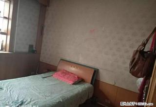 光明小区市医院家属院 - 邢台28生活网 xt.28life.com