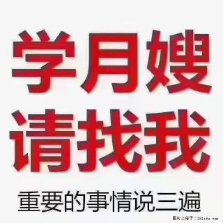【招聘】月嫂，上海徐汇区 - 邢台28生活网 xt.28life.com