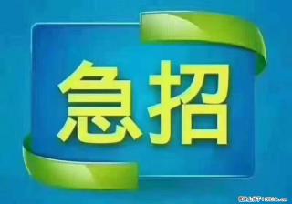 招出纳8000元/月，无证可以，要有相关经验，上海五险一金，包住，包工作餐，做六休一。 - 邢台28生活网 xt.28life.com