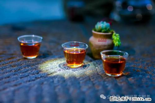 时间果百年古树2025年春红茶 - 购物交流 - 邢台生活社区 - 邢台28生活网 xt.28life.com