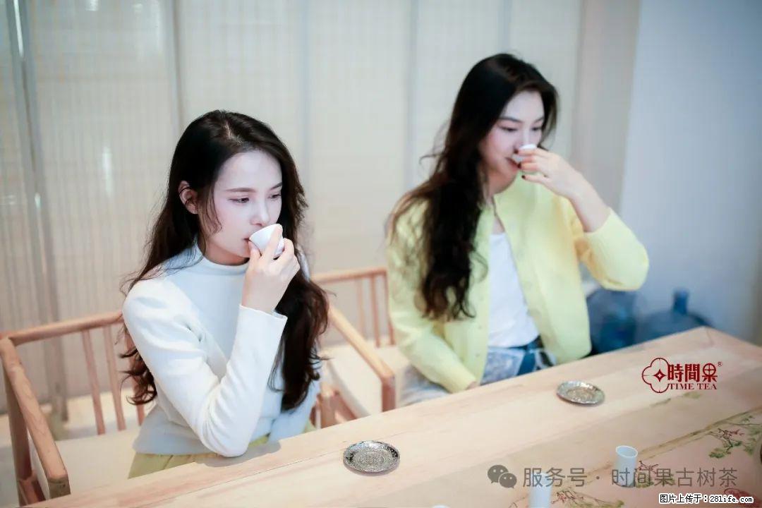 时间果百年古树龙珠普洱生茶 - 购物交流 - 邢台生活社区 - 邢台28生活网 xt.28life.com