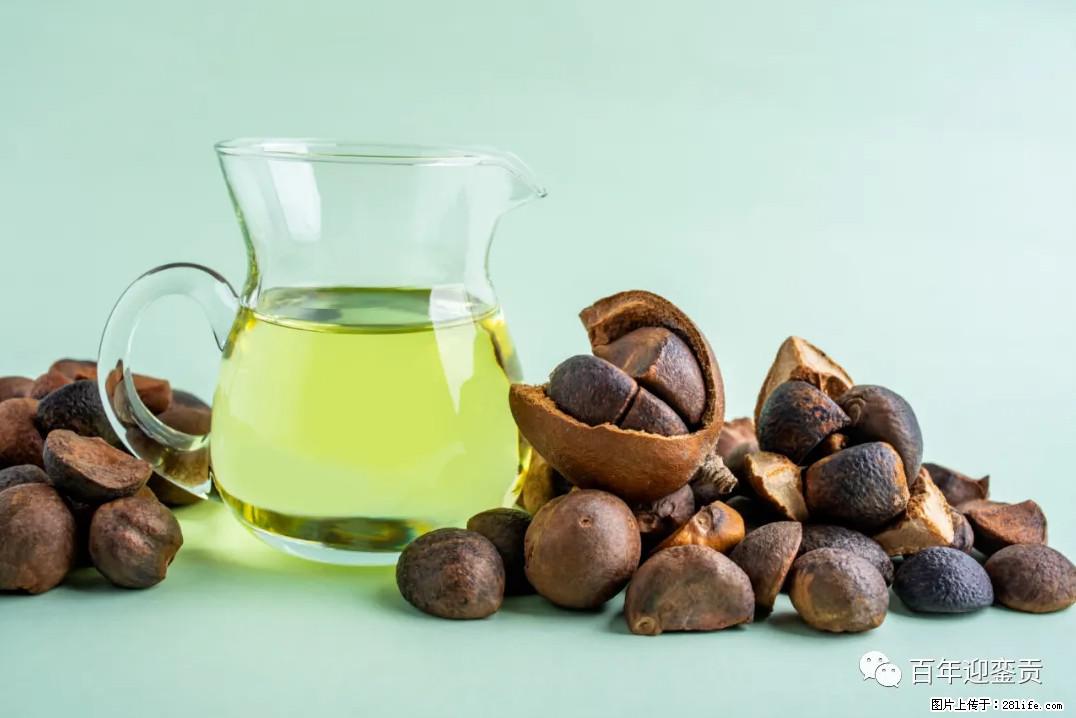 世界没有真相，只有认知，最好的食用油是中国的山茶油！ - 邢台生活资讯 - 邢台28生活网 xt.28life.com