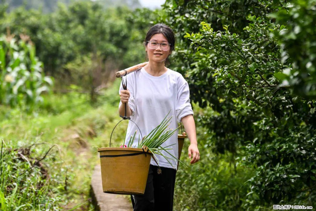 全网追的“扁担女孩”,找了一份暑假工,时薪12元 - 邢台生活资讯 - 邢台28生活网 xt.28life.com