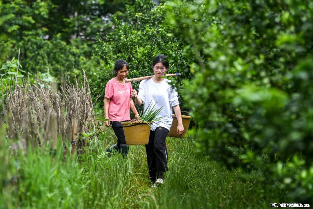 全网追的“扁担女孩”,找了一份暑假工,时薪12元 - 邢台生活资讯 - 邢台28生活网 xt.28life.com