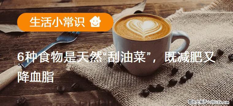 【生活小常识】6种食物是天然“刮油菜”,既减肥又降血脂 - 邢台生活资讯 - 邢台28生活网 xt.28life.com