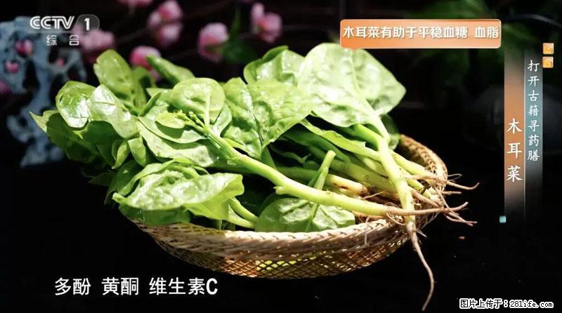 比牛奶补钙还厉害!凉血解毒、稳血糖...这菜冬天必吃,很多人却当草 - 邢台生活资讯 - 邢台28生活网 xt.28life.com