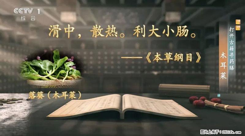 比牛奶补钙还厉害!凉血解毒、稳血糖...这菜冬天必吃,很多人却当草 - 邢台生活资讯 - 邢台28生活网 xt.28life.com