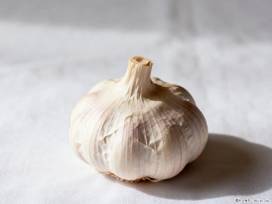 关于大蒜，除了“天然抗生素”，这4个谣言更该警惕! - 邢台生活资讯 - 邢台28生活网 xt.28life.com
