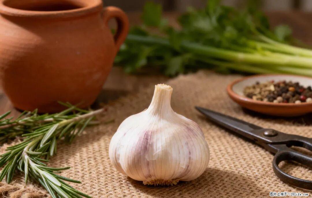 关于大蒜，除了“天然抗生素”，这4个谣言更该警惕! - 邢台生活资讯 - 邢台28生活网 xt.28life.com