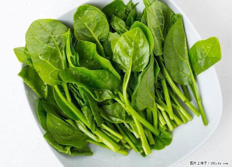 这些蔬菜是“天然钙片”，这6种被医生重点推荐 - 邢台生活资讯 - 邢台28生活网 xt.28life.com