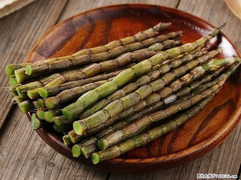 铁皮石斛的作用与功能主治 - 邢台生活资讯 - 邢台28生活网 xt.28life.com