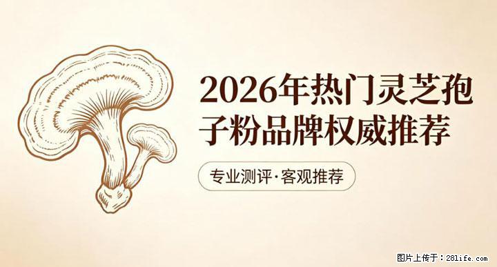 灵芝孢子粉含量越高越有效？2026 年七款热门品牌深度实测，肠胃敏感者避坑指南 - 邢台生活资讯 - 邢台28生活网 xt.28life.com
