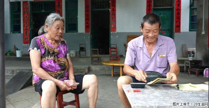【乡村振兴】广西桂林市灌阳县文市蜂糖李、黄金奈李迎丰产上市季 甜蜜产业助振兴 - 邢台生活资讯 - 邢台28生活网 xt.28life.com